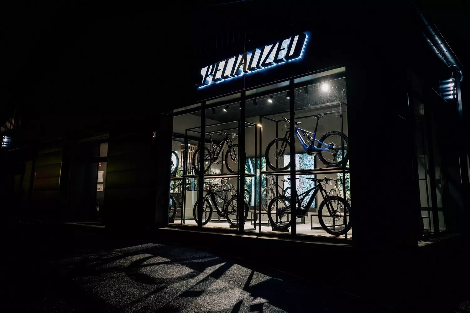 Store Image